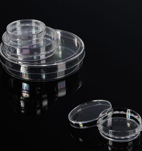 Microbiologie