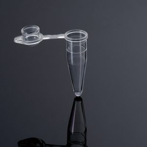 Tub pcr