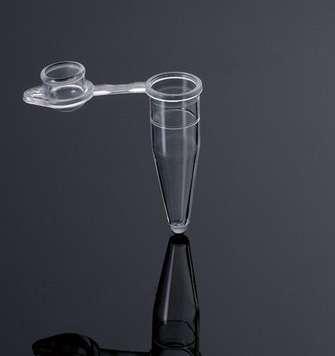 Tub pcr